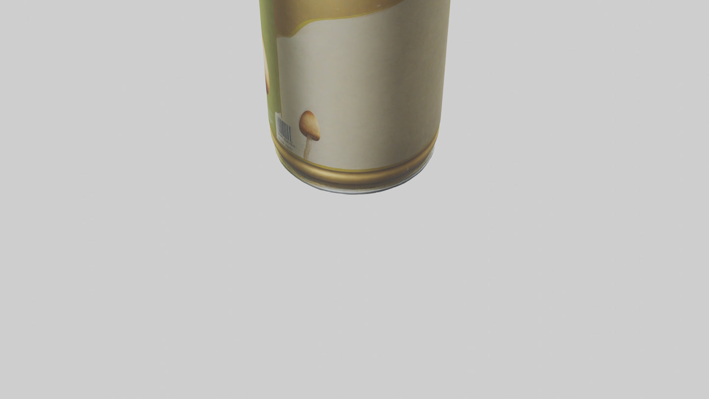 3D model Canned Mushrooms model VR / AR / low-poly