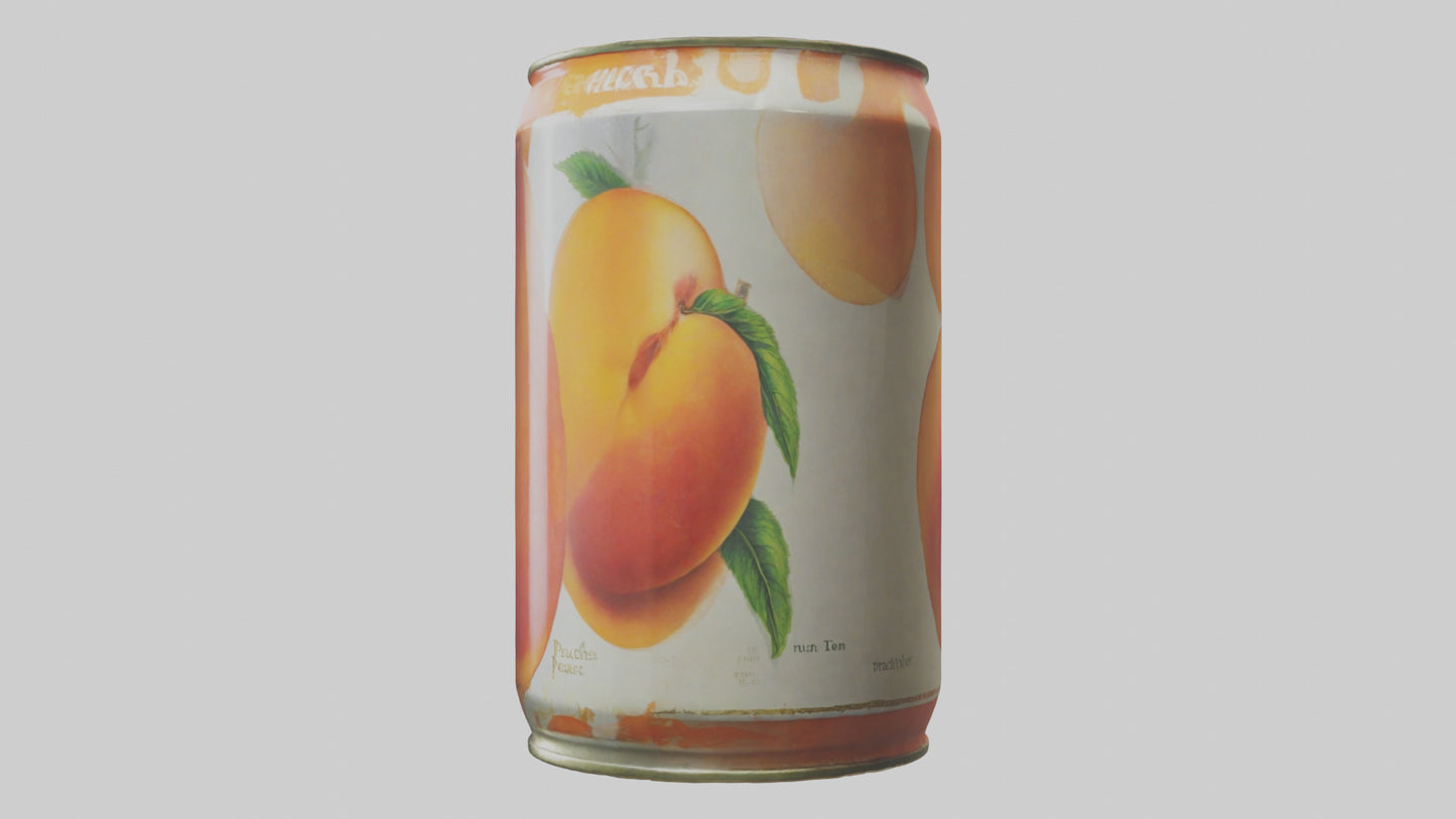 3D model Canned Peaches model VR / AR / low-poly