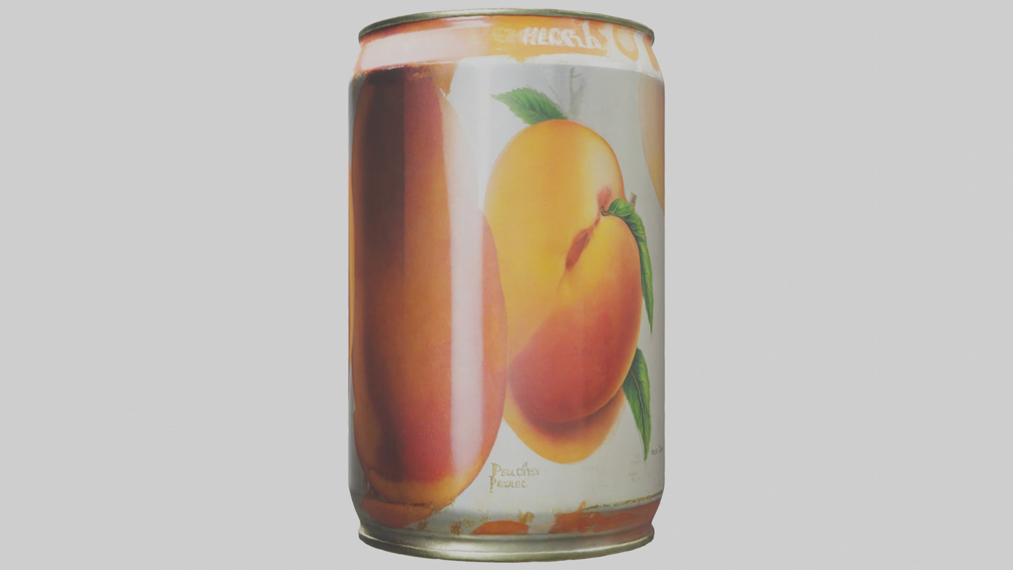 3D model Canned Peaches model VR / AR / low-poly