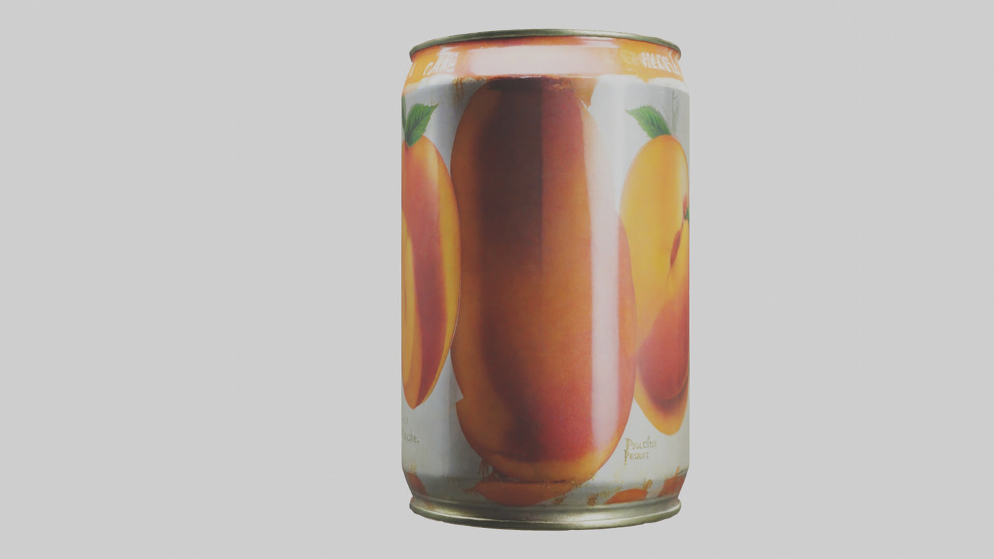 3D model Canned Peaches model VR / AR / low-poly