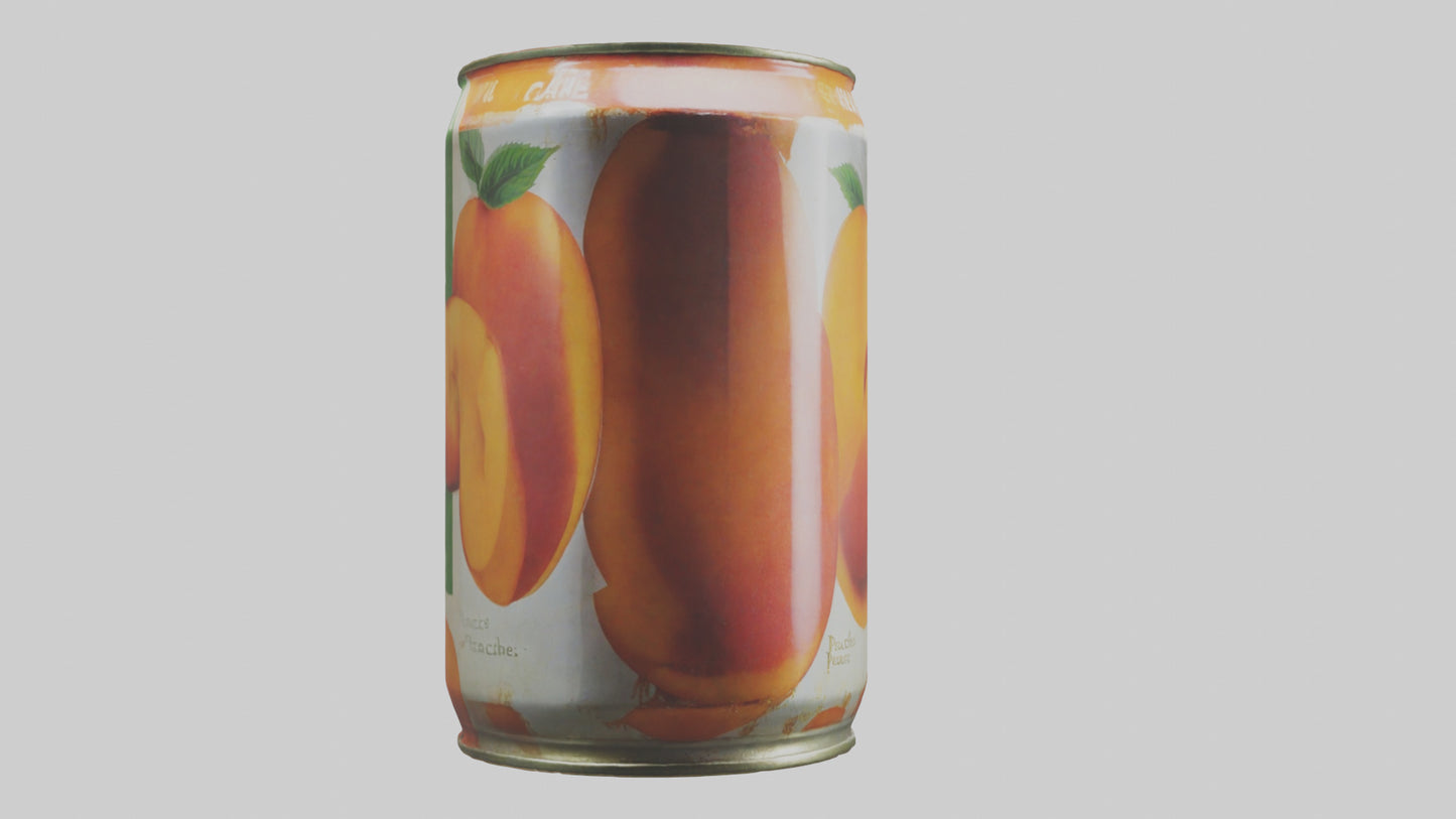 3D model Canned Peaches model VR / AR / low-poly