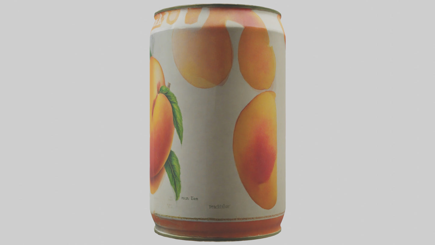 3D model Canned Peaches model VR / AR / low-poly