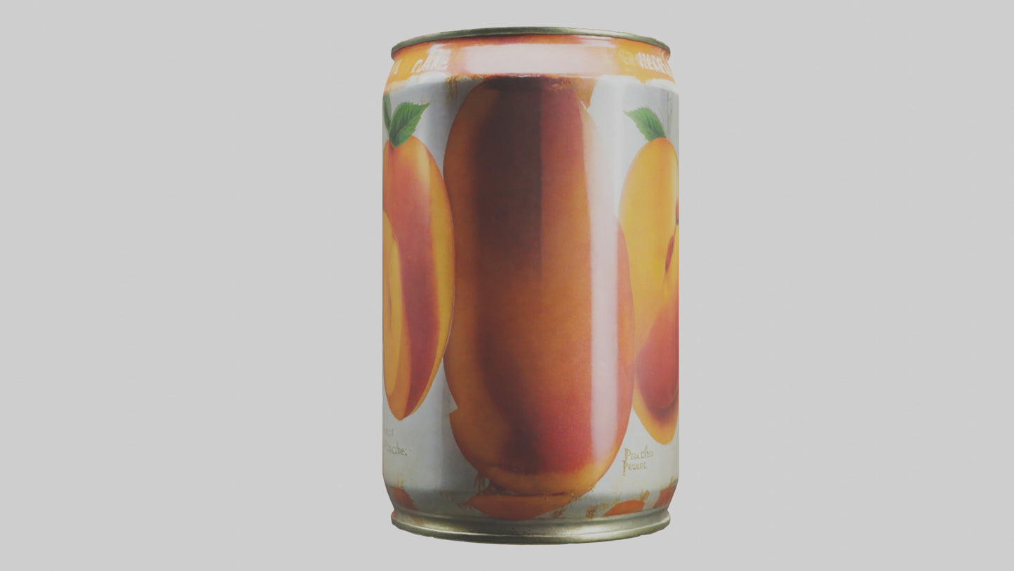 3D model Canned Peaches model VR / AR / low-poly