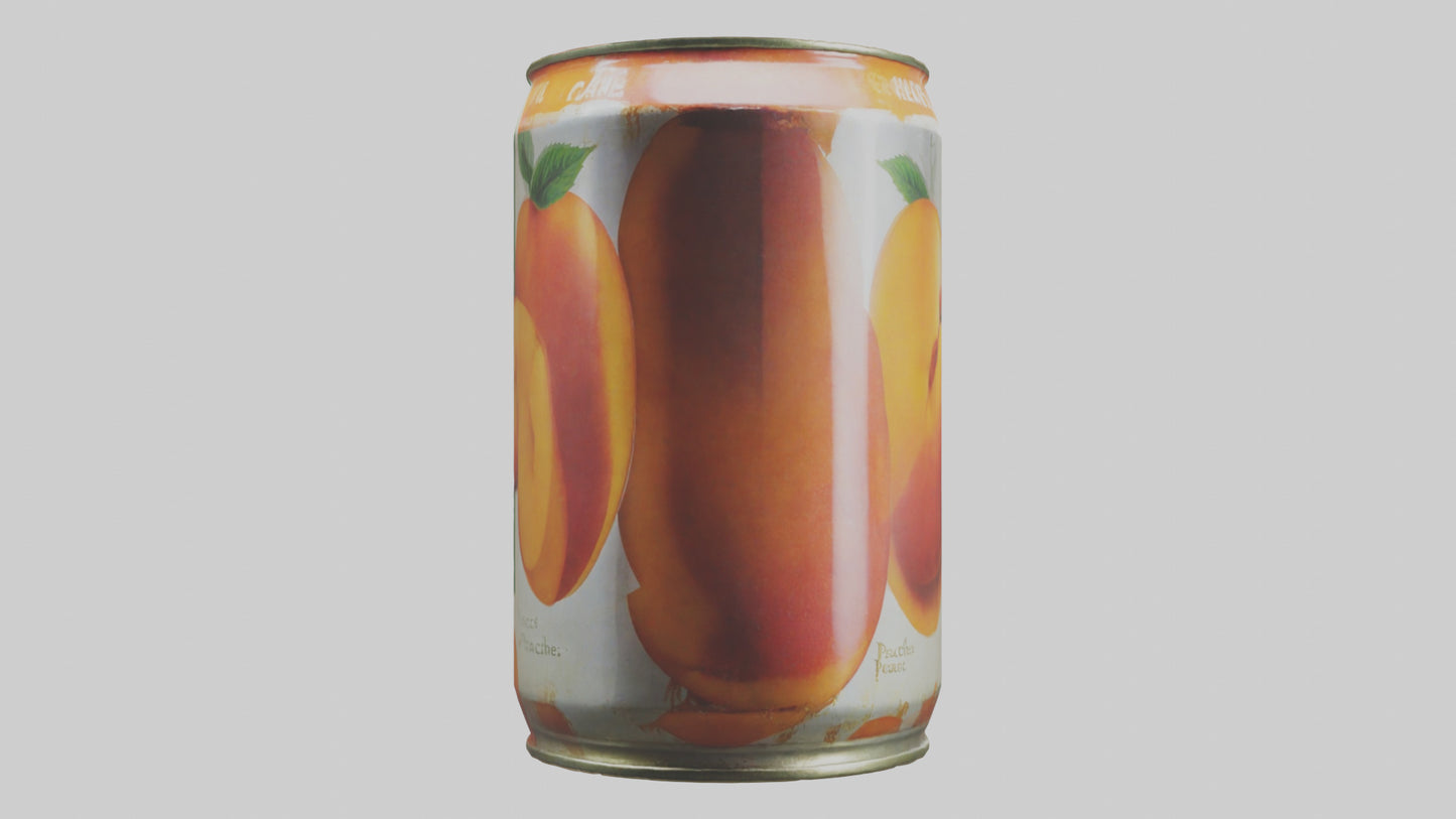 3D model Canned Peaches model VR / AR / low-poly