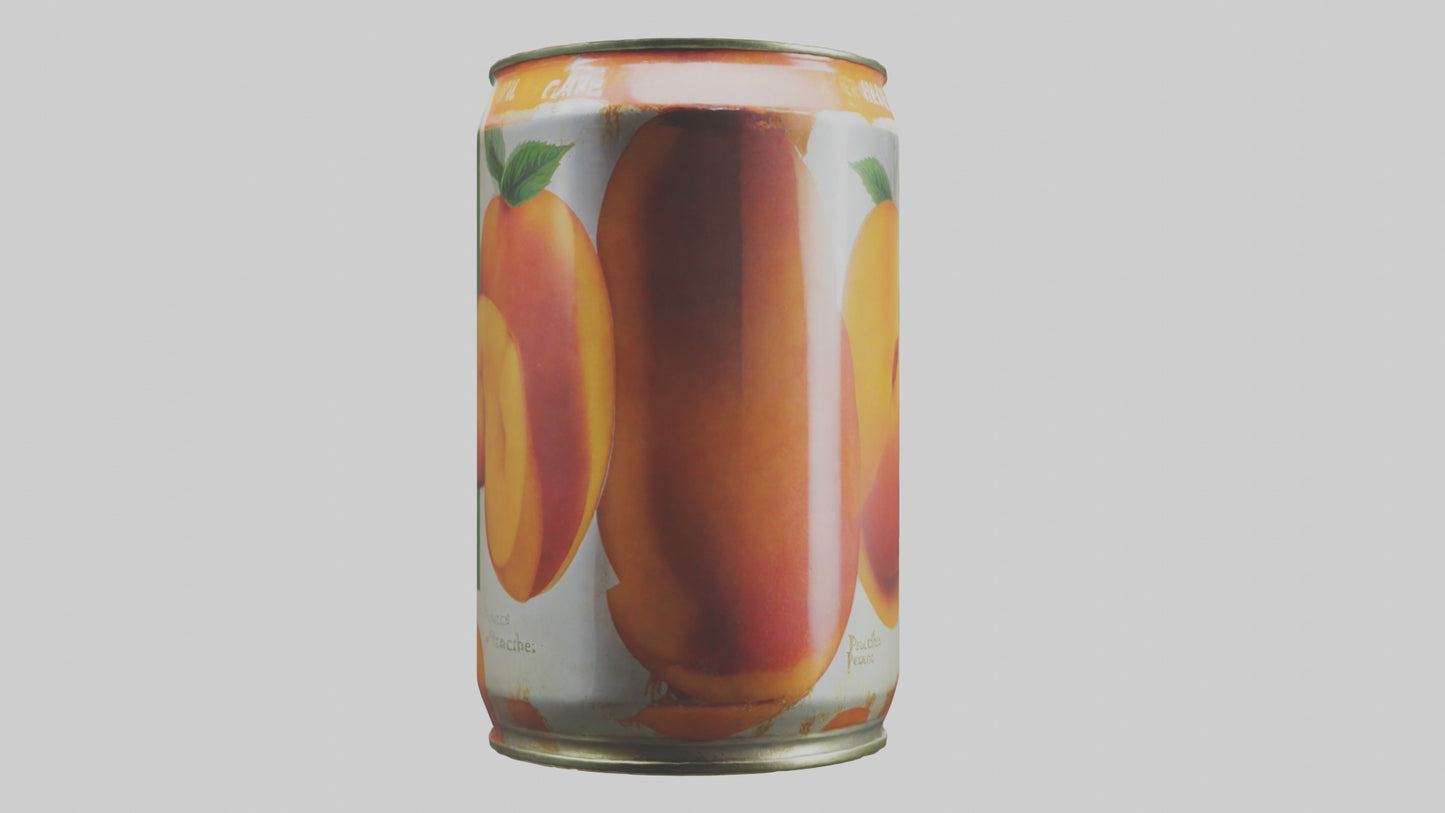 3D model Canned Peaches model VR / AR / low-poly