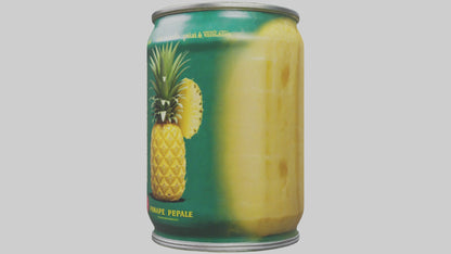 3D model Canned Pineapple model VR / AR / low-poly
