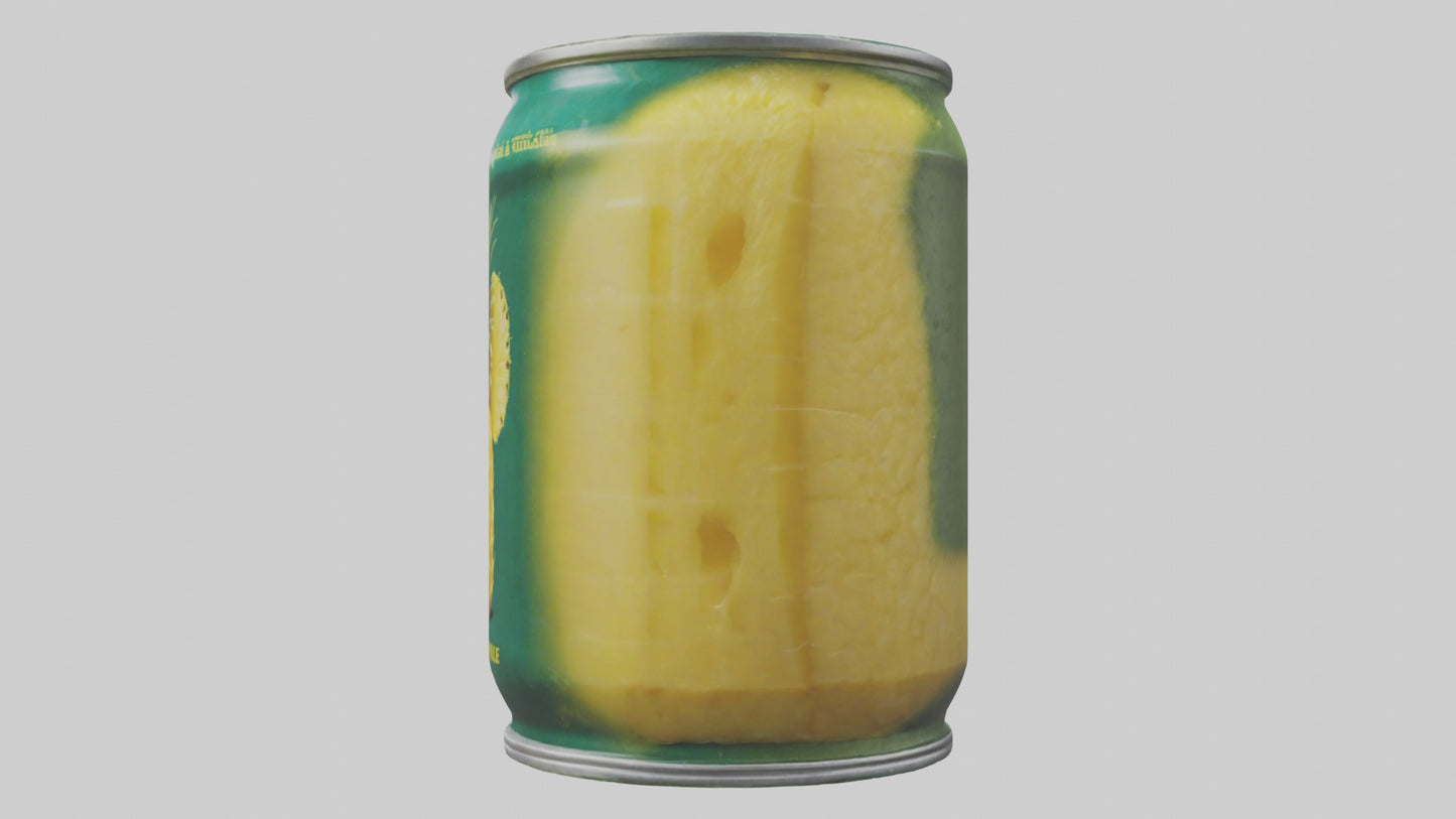 3D model Canned Pineapple model VR / AR / low-poly