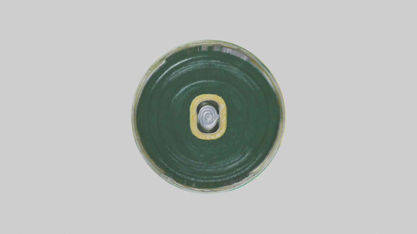 3D model Canned Pineapple model VR / AR / low-poly