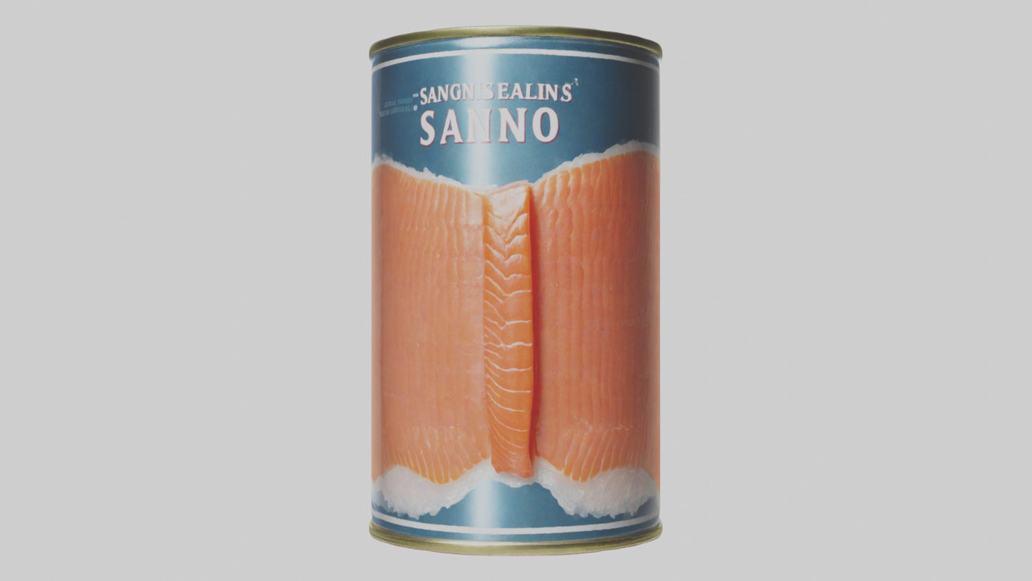 3D model Canned Salmon model VR / AR / low-poly