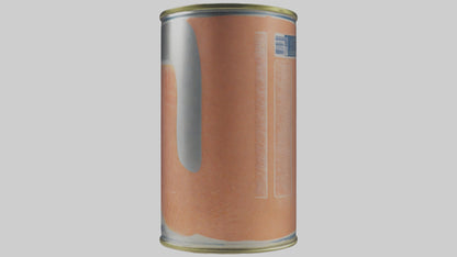 3D model Canned Salmon model VR / AR / low-poly
