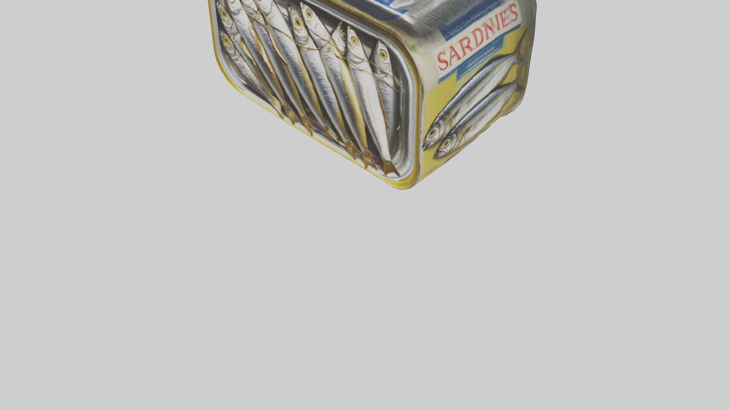 3D model Canned Salmon model VR / AR / low-poly