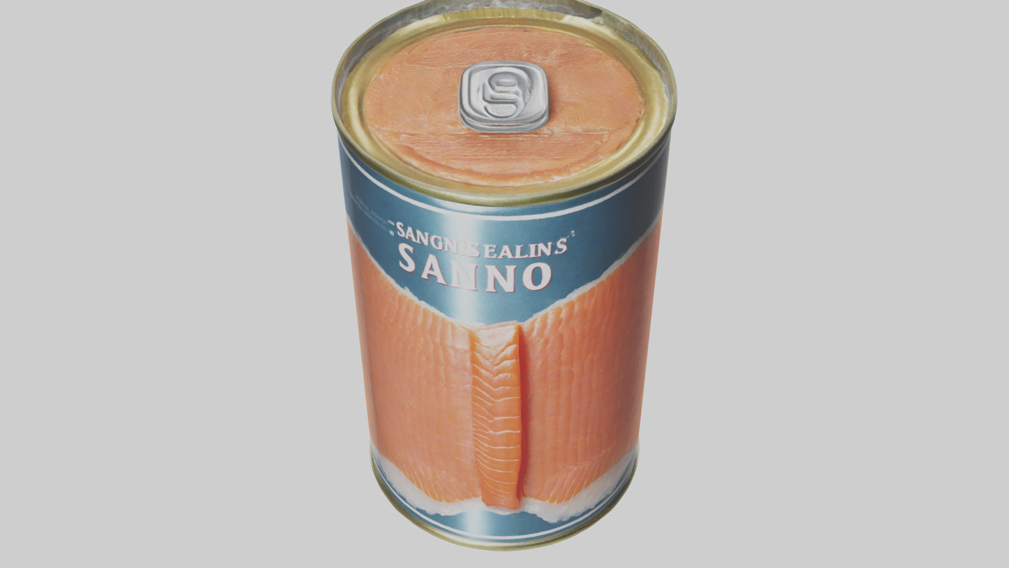 3D model Canned Salmon model VR / AR / low-poly