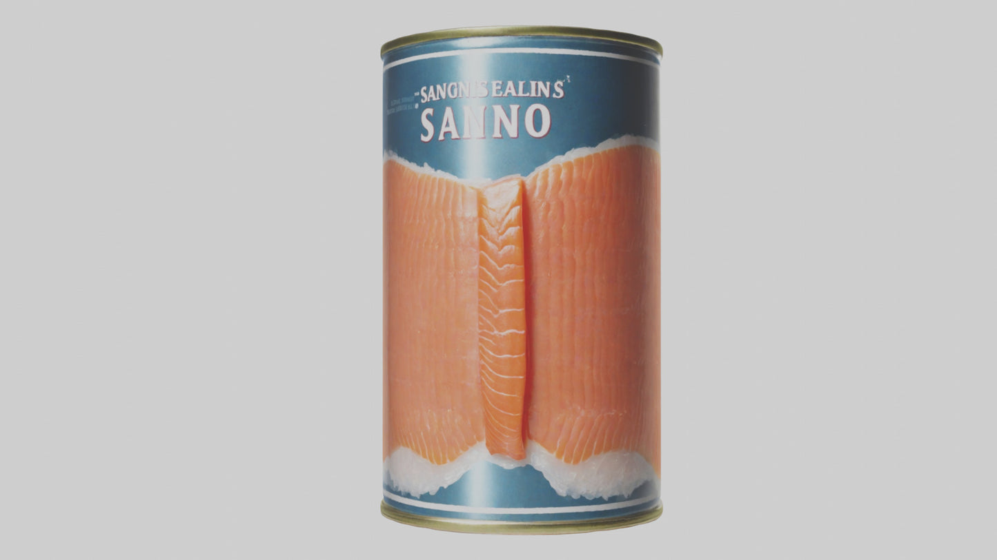 3D model Canned Salmon model VR / AR / low-poly
