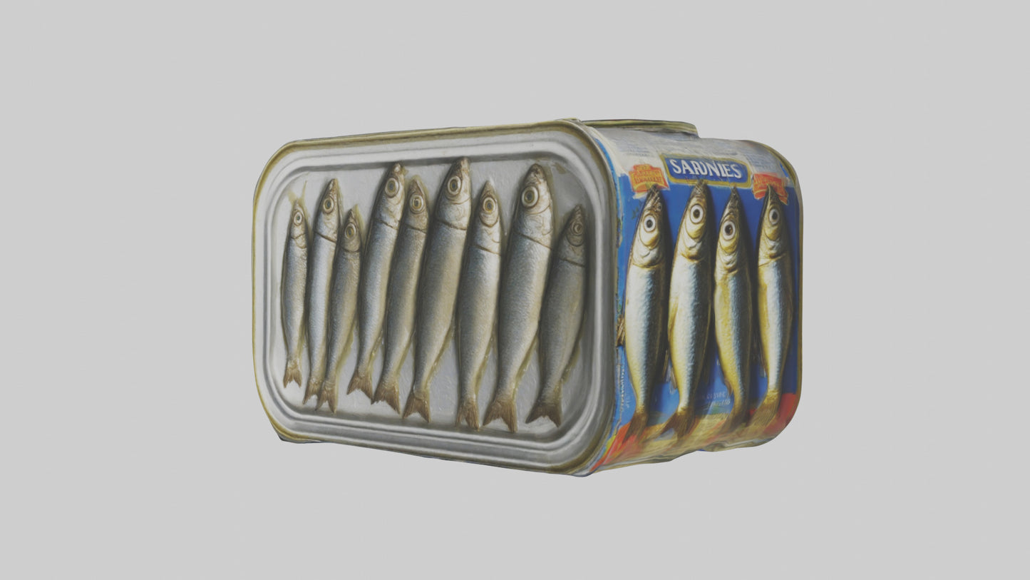 3D model Canned Salmon model VR / AR / low-poly
