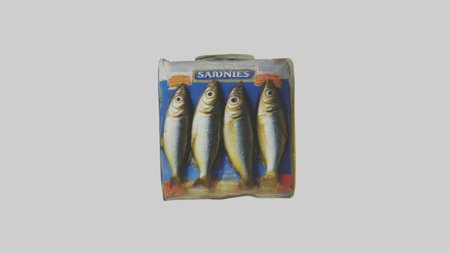 3D model Canned Salmon model VR / AR / low-poly
