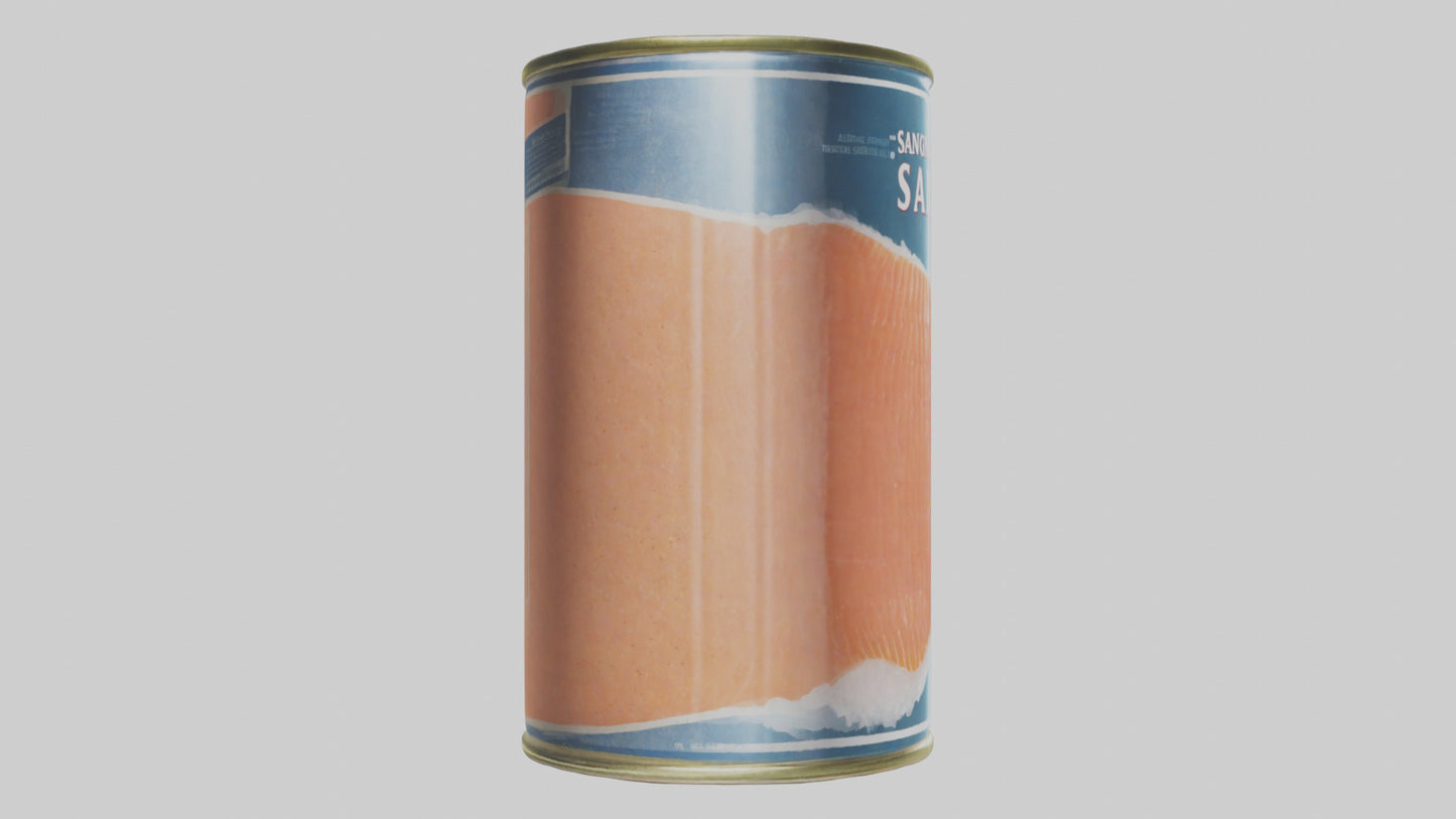 3D model Canned Salmon model VR / AR / low-poly