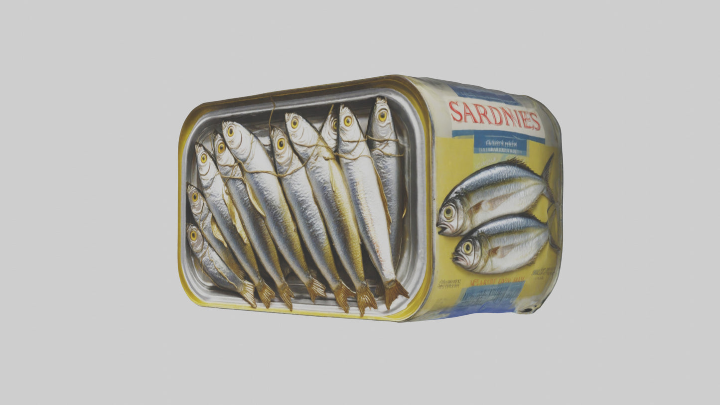 3D model Canned Salmon model VR / AR / low-poly