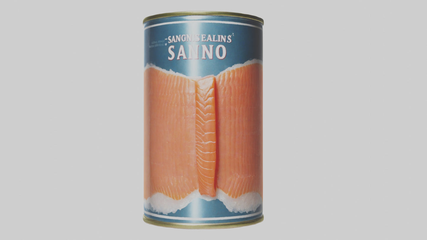 3D model Canned Salmon model VR / AR / low-poly