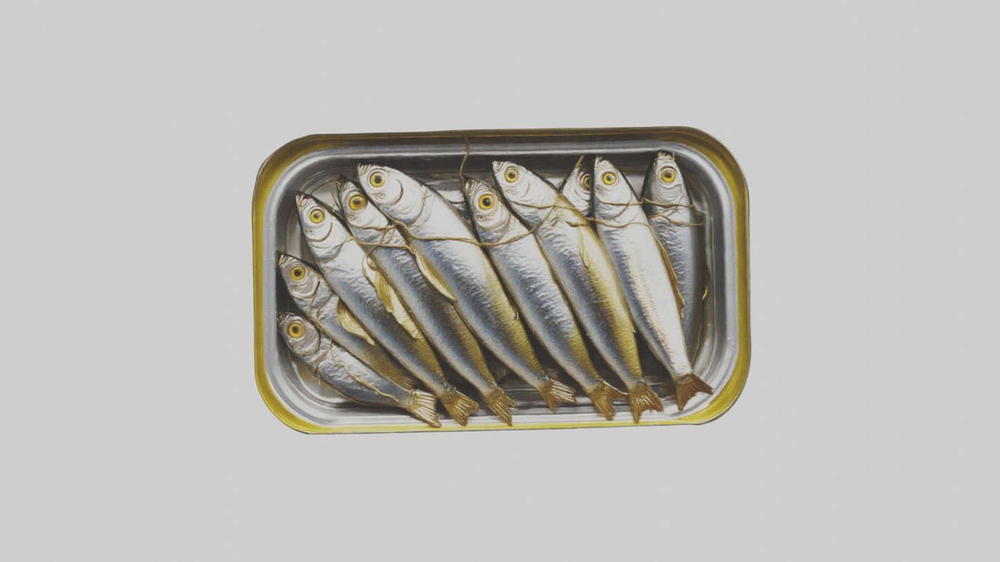 3D model Canned Salmon model VR / AR / low-poly
