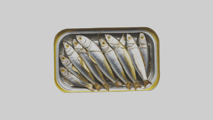 3D model Canned Salmon model VR / AR / low-poly