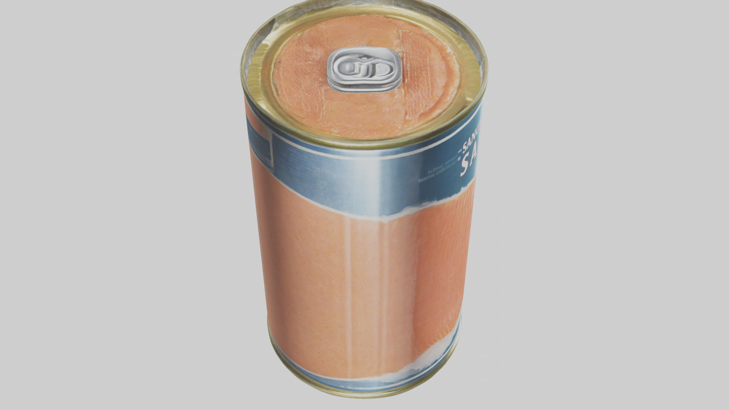 3D model Canned Salmon model VR / AR / low-poly