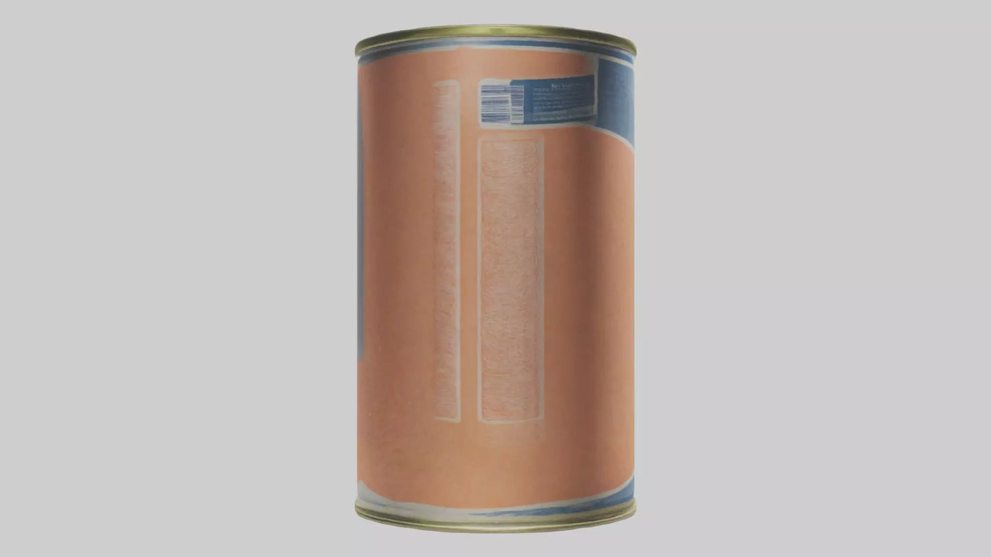 3D model Canned Salmon model VR / AR / low-poly