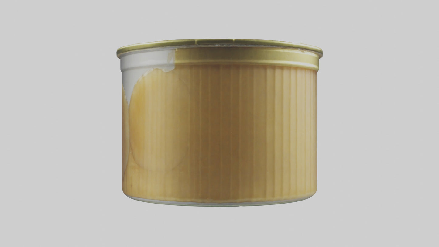 3D model Canned Salmon model VR / AR / low-poly