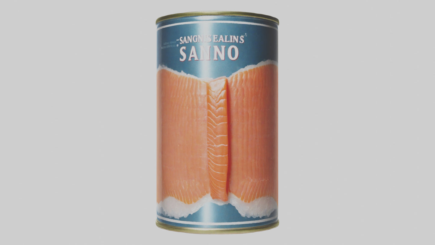 3D model Canned Salmon model VR / AR / low-poly