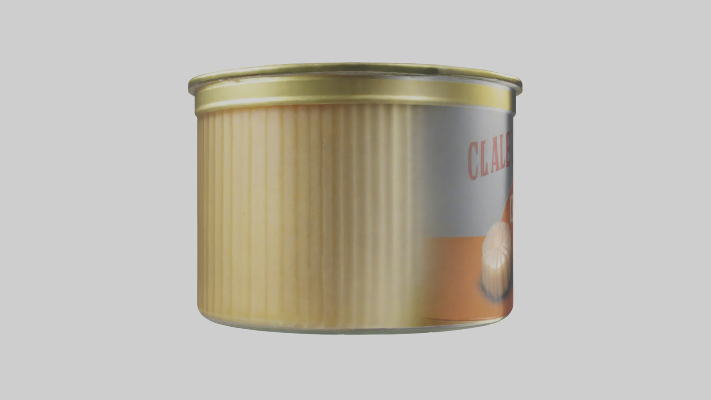 3D model Canned Salmon model VR / AR / low-poly
