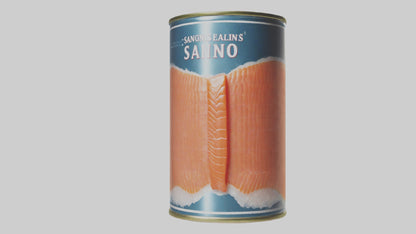 3D model Canned Salmon model VR / AR / low-poly