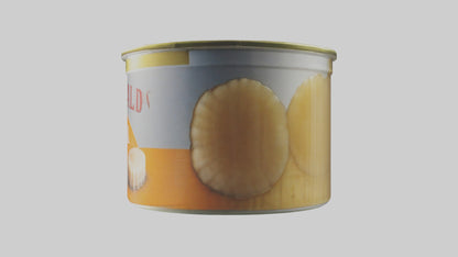 3D model Canned Salmon model VR / AR / low-poly