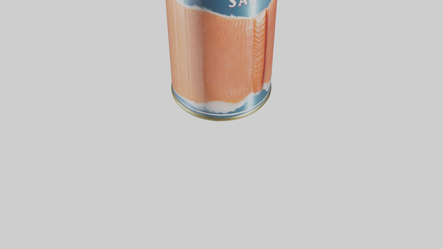 3D model Canned Salmon model VR / AR / low-poly