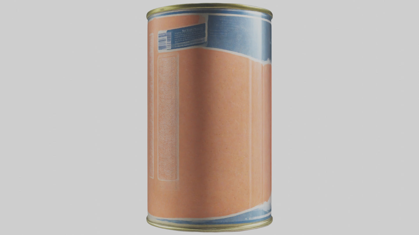 3D model Canned Salmon model VR / AR / low-poly