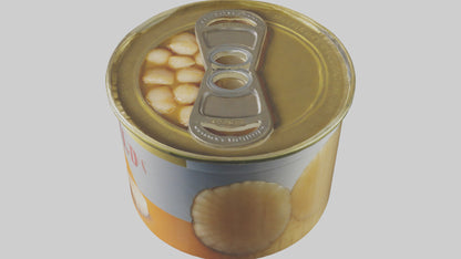 3D model Canned Salmon model VR / AR / low-poly