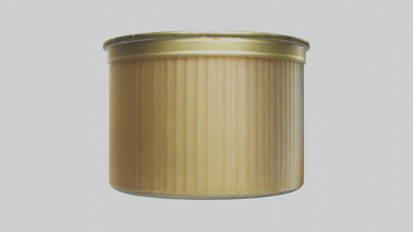 3D model Canned Salmon model VR / AR / low-poly