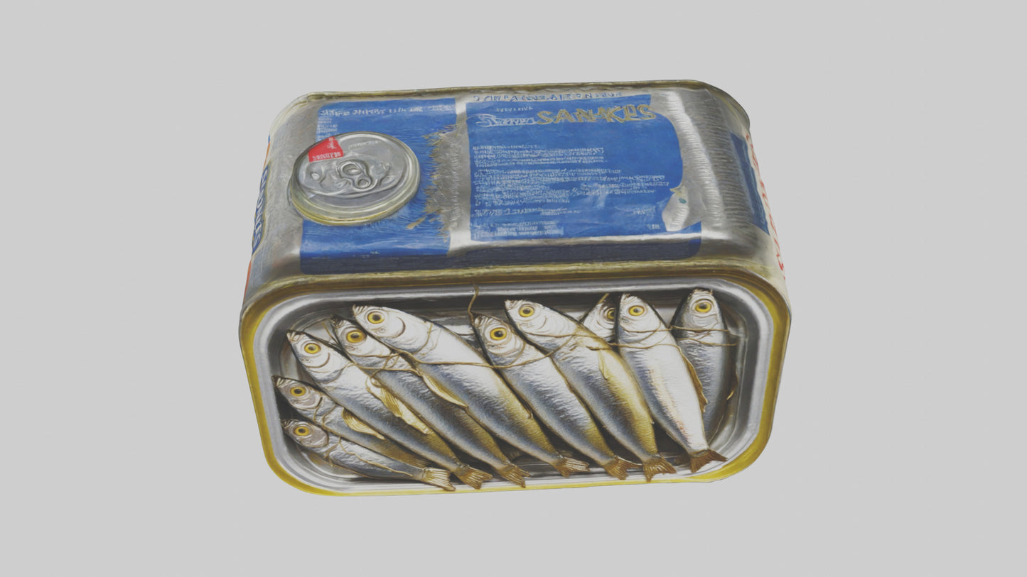 3D model Canned Salmon model VR / AR / low-poly