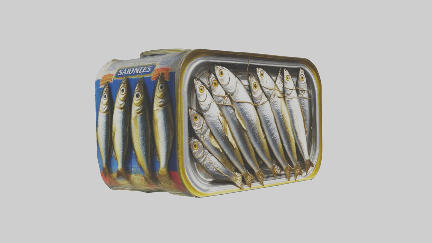 3D model Canned Salmon model VR / AR / low-poly