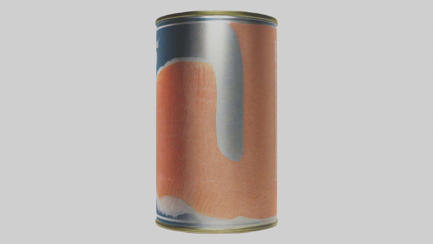 3D model Canned Salmon model VR / AR / low-poly