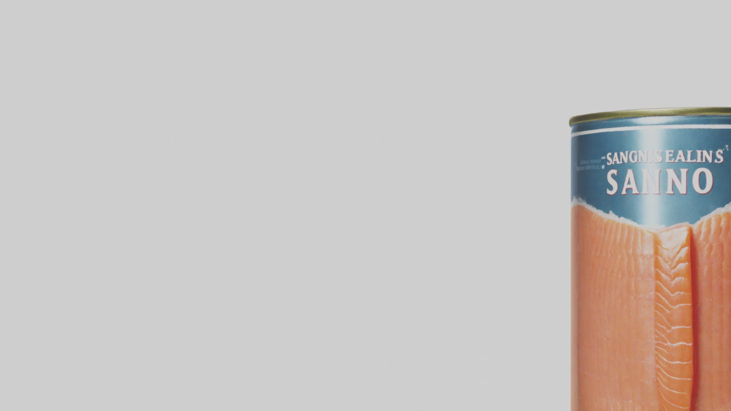 3D model Canned Salmon model VR / AR / low-poly