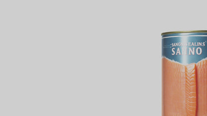 3D model Canned Salmon model VR / AR / low-poly