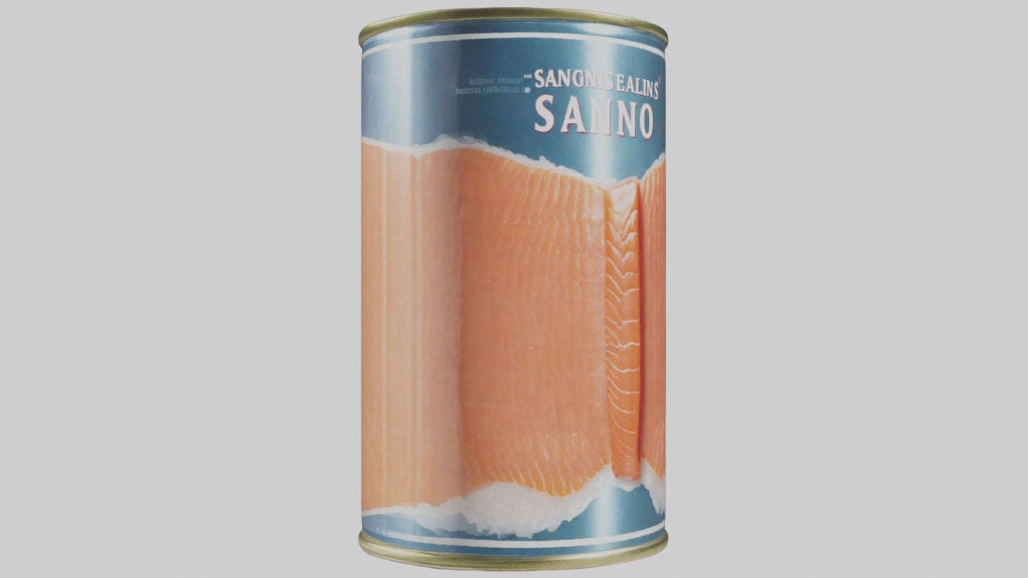 3D model Canned Salmon model VR / AR / low-poly