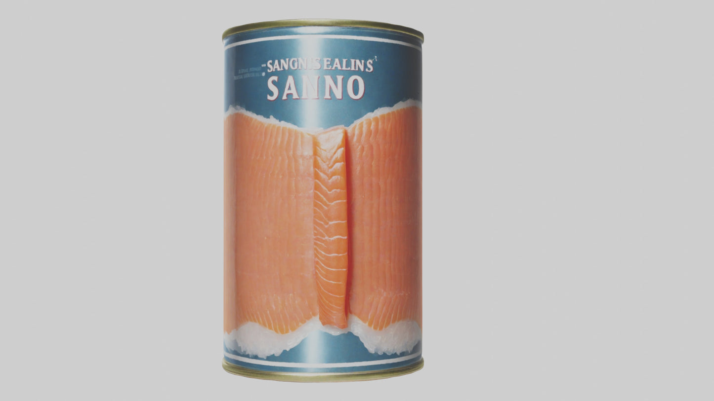3D model Canned Salmon model VR / AR / low-poly