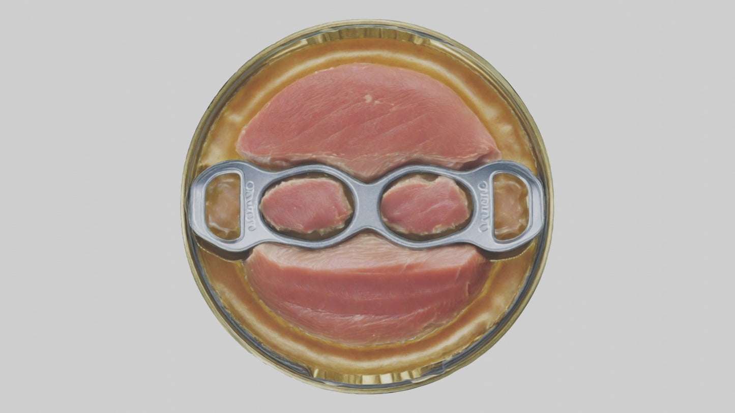 Canned Stew model VR / AR / low-poly