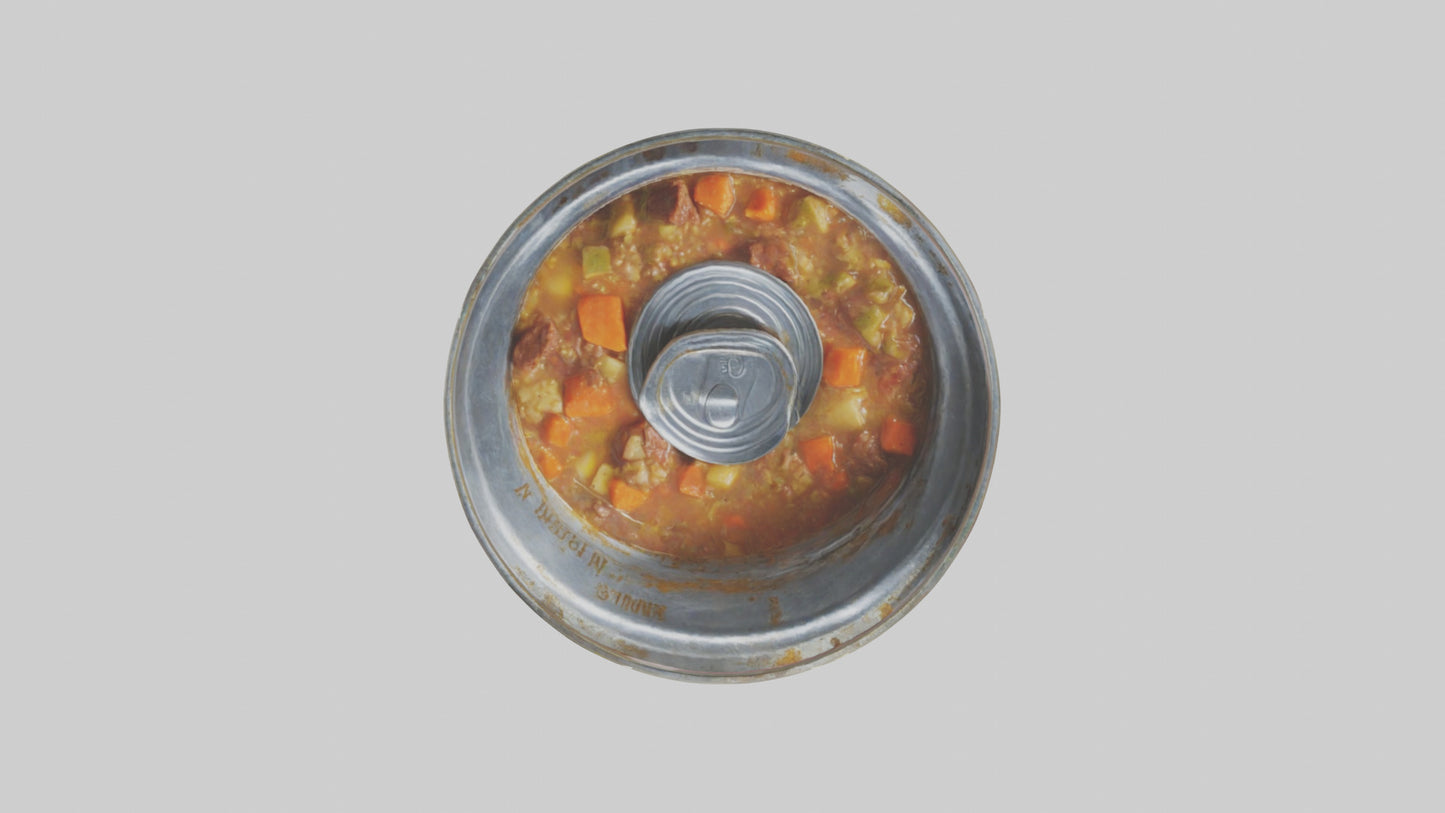 Canned Stew model VR / AR / low-poly