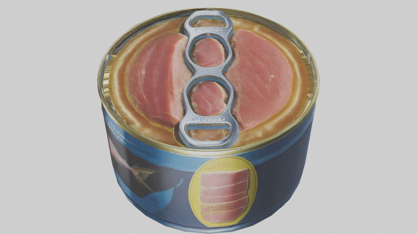 Canned Stew model VR / AR / low-poly