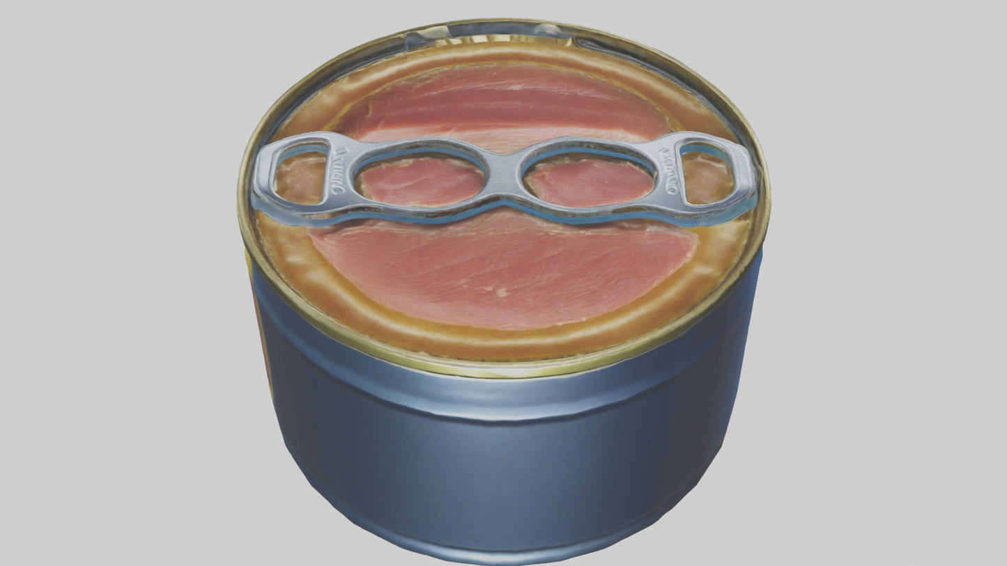 Canned Stew model VR / AR / low-poly
