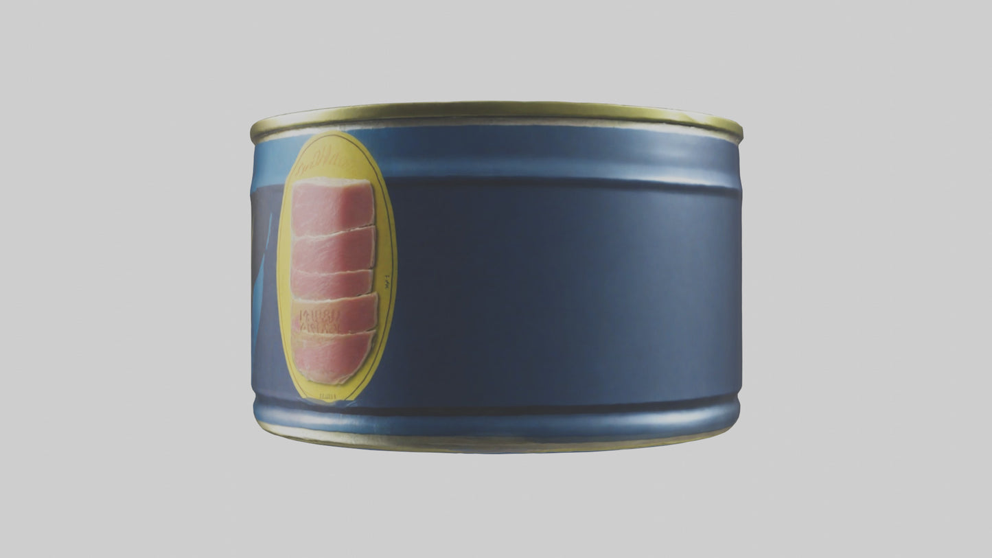Canned Stew model VR / AR / low-poly