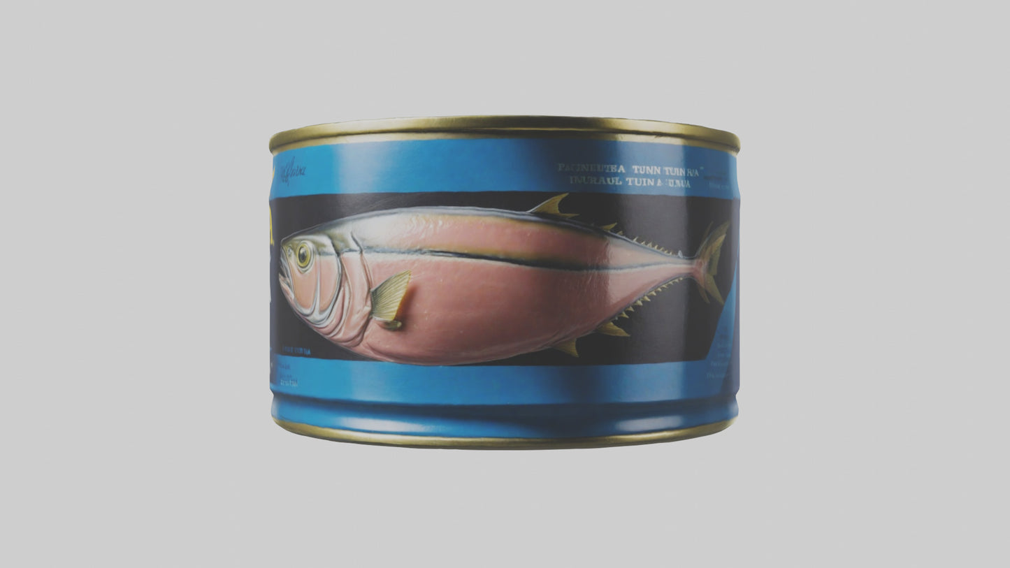 Canned Stew model VR / AR / low-poly