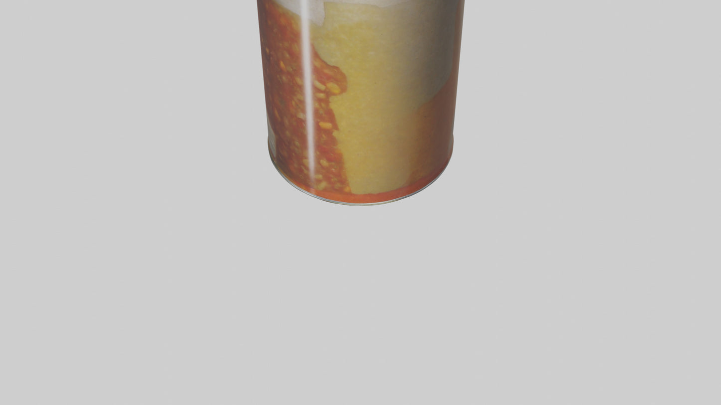 Canned Stew model VR / AR / low-poly