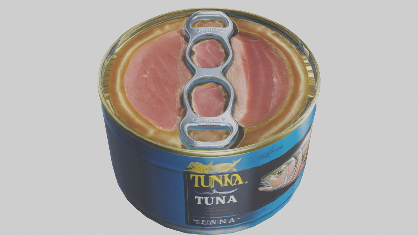 Canned Stew model VR / AR / low-poly